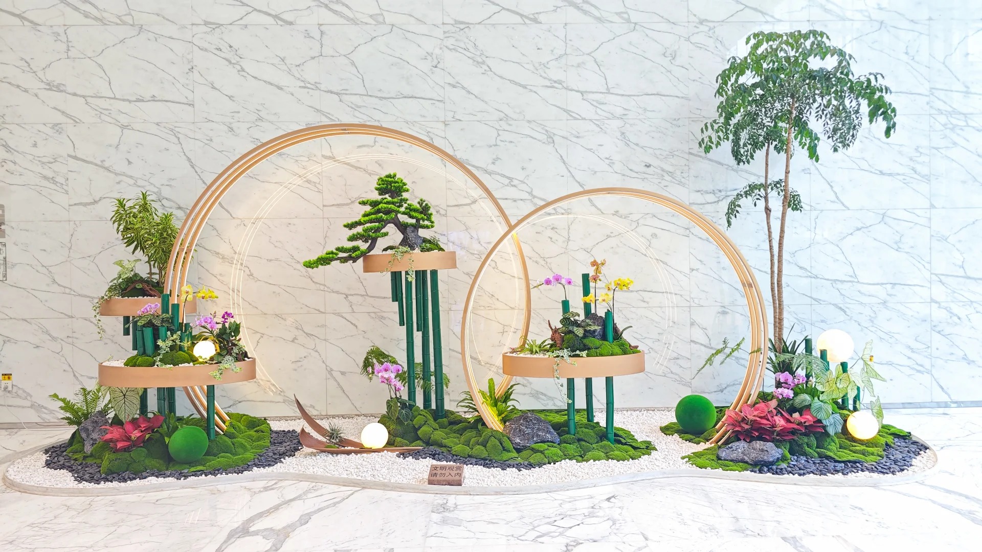 专业余姚盆景租摆，塑造空间别样风情