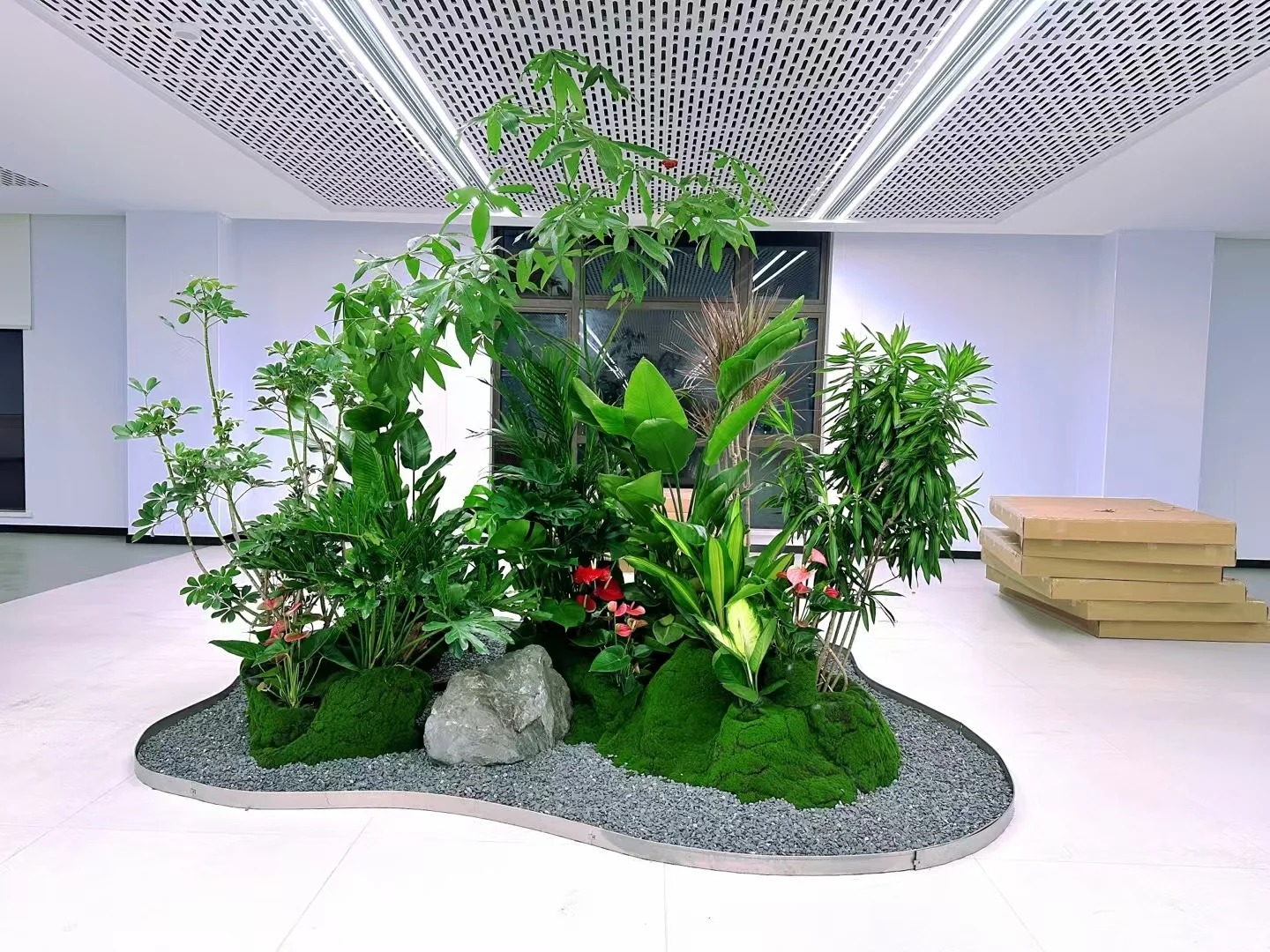 专业余姚盆景租摆，塑造空间别样风情